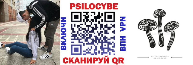 KRAKEN как зайти  Апшеронск  Псилоцибиновые грибы мицелий 