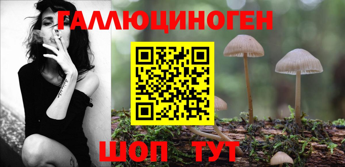 Апшеронск  Псилоцибиновые грибы Cubensis  Галлюциногенные грибы прущие грибы  Вход с VPN 