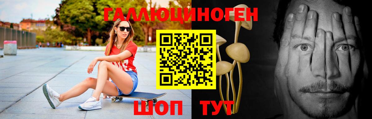Псилоцибиновые грибы Cubensis Апшеронск